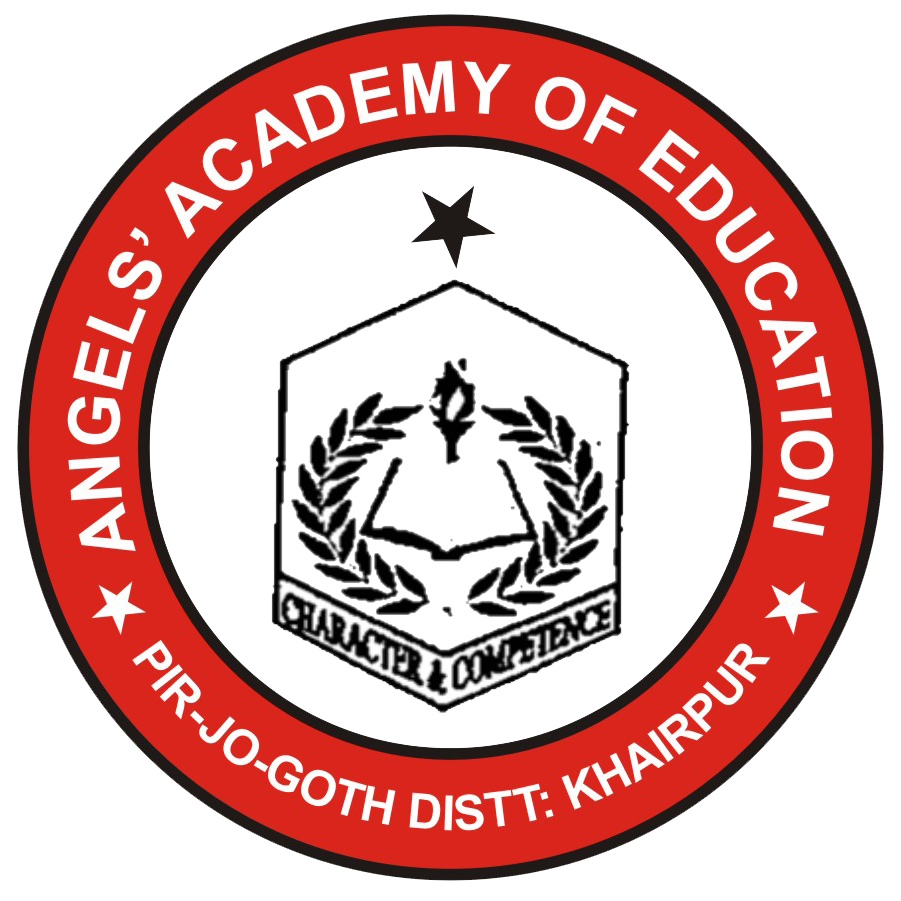 Angels Academy